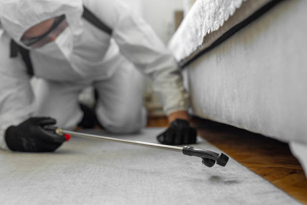 Professional Cockroach Control technician working in Putnam County County, IL